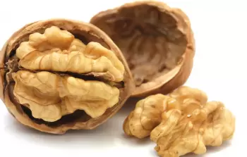 جوز عين الجمل