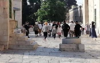 جانب من اقتحام المستوطنين لباحات المسجد الأقصى اليوم