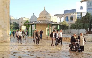 مستوطنون يقتحمون المسجد الأقصى وسط حماية الاحتلال