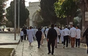 مجموعات المستوطنين تقتحم المسجد الأقصى