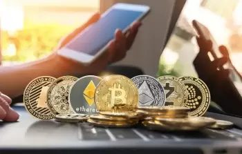 بورصة العملات المشفرة تحقق في تحركات غير معتادة في المحافظ