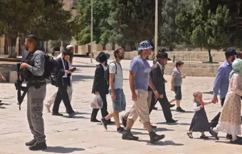 صورة أرشيفية