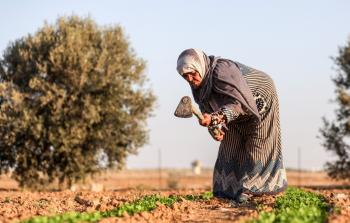 الفلسطينية أمونة أبو رجيلة