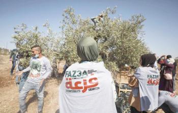 فزعة تحمي شجر الزيتون من عداء المستوطنين