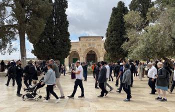 مجموعات من المستوطنين تقتحم المسجد الأقصى