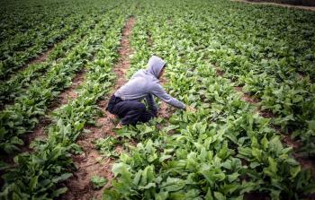 المطالبة بحماية صغار المزارعين والمربين وتزويدهم بمستلزمات إنتاجية حديثة
