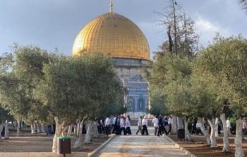 مستوطنون يقتحمون باحات الأقصى المبارك (أرشيف)