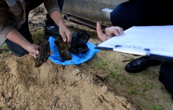 ضبط 406 فروش حشيش وسط القطاع وتوقيف 8 مشتبهين