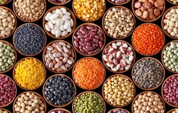 اختصاصية تغذية تنصح بنظام غذائي جديد
