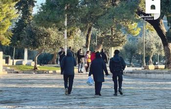 مستوطنون يقتحمون باحات الأقصى المبارك (أرشيف)