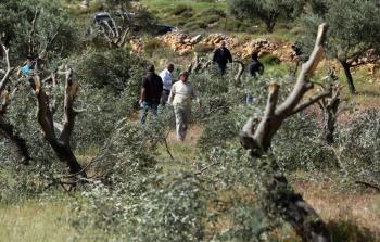 اعتداءات المستوطنين بالضفة (أرشيف)