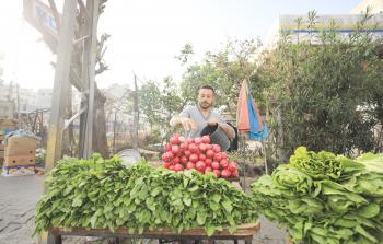 تجارة الخضار