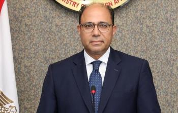 السفير المصري أحمد أبو زيد