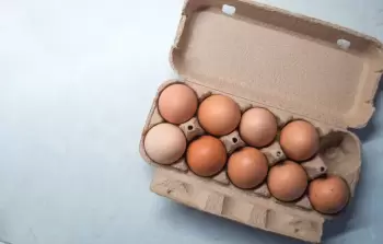 نصائح هامة عند شراء أفضل البيض!