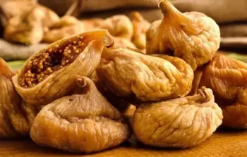 5 فوائد مذهلة لتناول التين.. سواء طازج أو مجفف