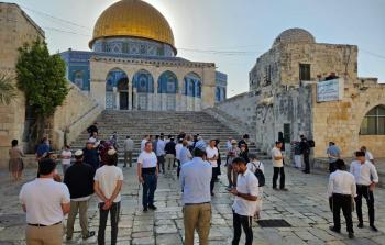 الناشطة حمد: مخططات تقسيم الأقصى تسابق الزمن وتستوجب حملة لمواجهتها