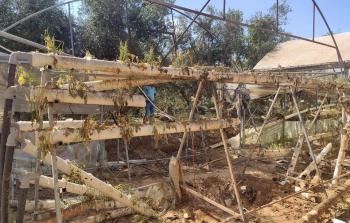 خسائر القطاع الزراعي جرّاء العدوان