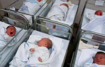 صورة أرشيفية