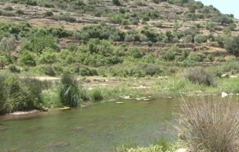 المحميات الطبيعية في الأغوار- أرشيف