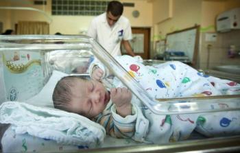 أعداد المواليد لشهر مايو في قطاع غزة