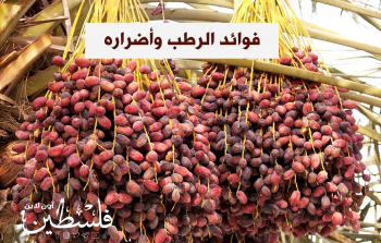 فوائد الرطب وأضراره