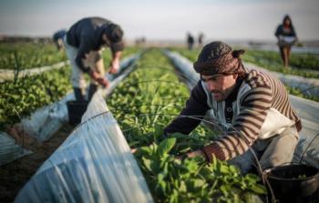  تعزيز الإنتاج النباتي والحيواني وتطوير البنية التحتية سبيلان لتحقيق الأمن الغذائي