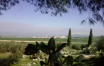 قرية الجلمة - أرشيف