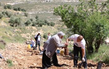 عائلة أبو موسى