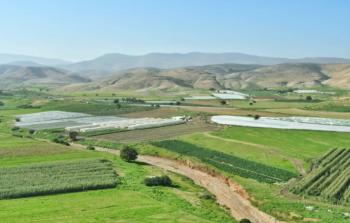 الأغوار الفلسطينية - أرشيف