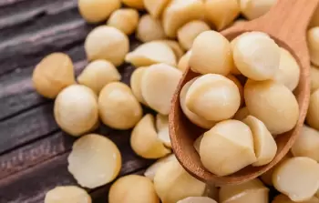 بينها تعزيز صحة القلب.. فوائد لن تتخيلها لمكسرات المكاديميا