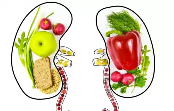 أطعمة ومشروبات يمكن أن تُنشط الكلى بشكل طبيعي
