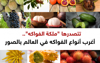 نتصدرها ملكة الفواكه.. أغرب أنواع الفواكه في العالم بالصور.png