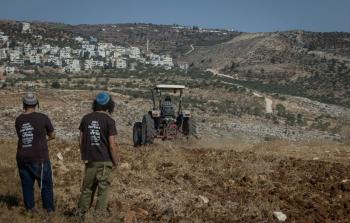مستوطن يحرث أرضًا فلسطينية للاستيلاء عليها- أرشيف