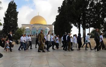 انتهاكات المستوطنين في الأقصى - أرشيف