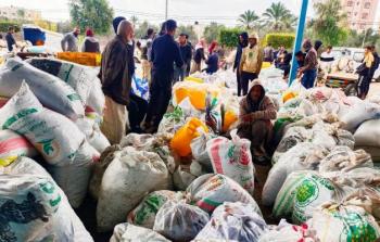 مليونا دولار قيمة الخسائر اليومية في الإنتاج الزراعي في قطاع غزة