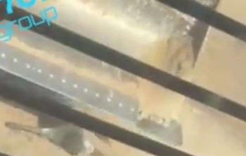 الأورومتوسطي يعبر عن فزعه من مواصلة قيام الاحتلال بالتمثيل بجثث شهداء فلسطينيين