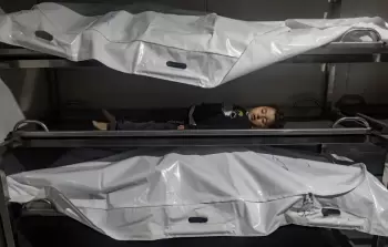 صورة من مجزرة عائلة فقعاوي