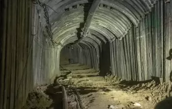 صورة من الأرشيف