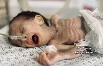 صورة من الأرشيف