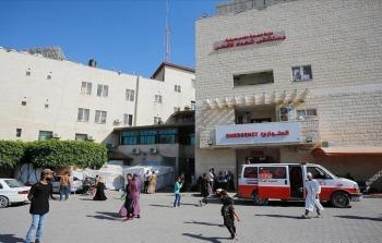 دير البلح.. 