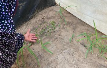 بتخصيص جزء من الأرض.. نازحون ينْتزعون الحيَاة بـ 