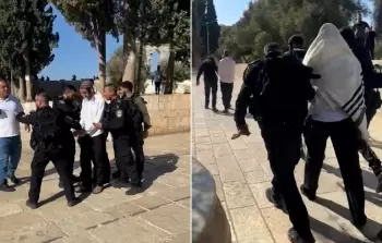 كومبو-copy-1728048900.webp