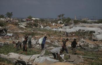 الزّراعة بغزّة: الاحتلال يدمّر 99% من الأراضي الزّراعية للخضروات