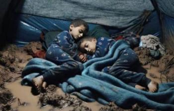 المجلس النَّرويجيِّ للَّاجئين: مليون فلسطينيّ  في غزّة يواجهون الشِّتاء القاسي بلا مأوًى