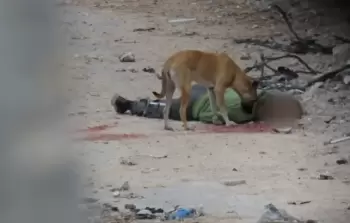 ضباط وجنود خدموا بـ 