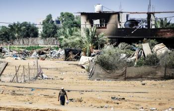 الأرض تعود للحياة... مزارعون يعودون إلى أرضهم شرقيَّ رفح في تحدّ للاحتلال