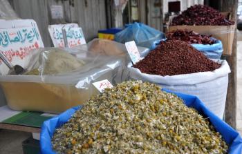 التَّداوي بالأعشاب.. ملاذ الغزِّيين لعلاج أمراضهم في زمن الحرب