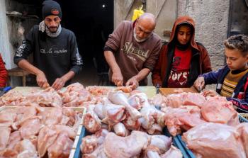 غزَّة تواجه أزمةً حادَّةً في اللُّحوم الطَّازجة مع اقتراب رمضان وسط تداعيات الحرب