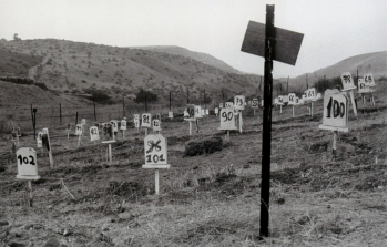 مشاهد تسليم جثامين الأسرى تنكأ الجرَّاح... (إسرائيل) تحتجز 665 جثمان شهيد بـ 