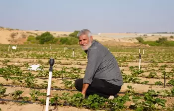 تسجيل الأضرار الزِّراعيَّة في غزَّة: رابط إلكتروني للمتضررين من الحرب